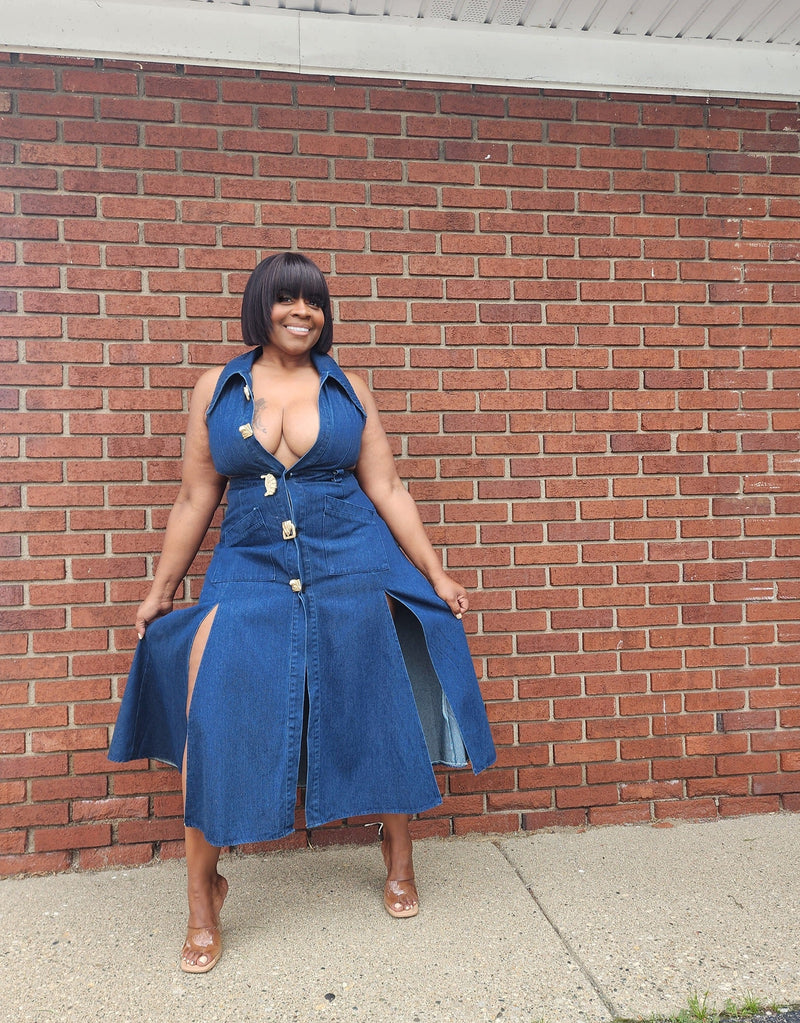 Dream In Denim Dress